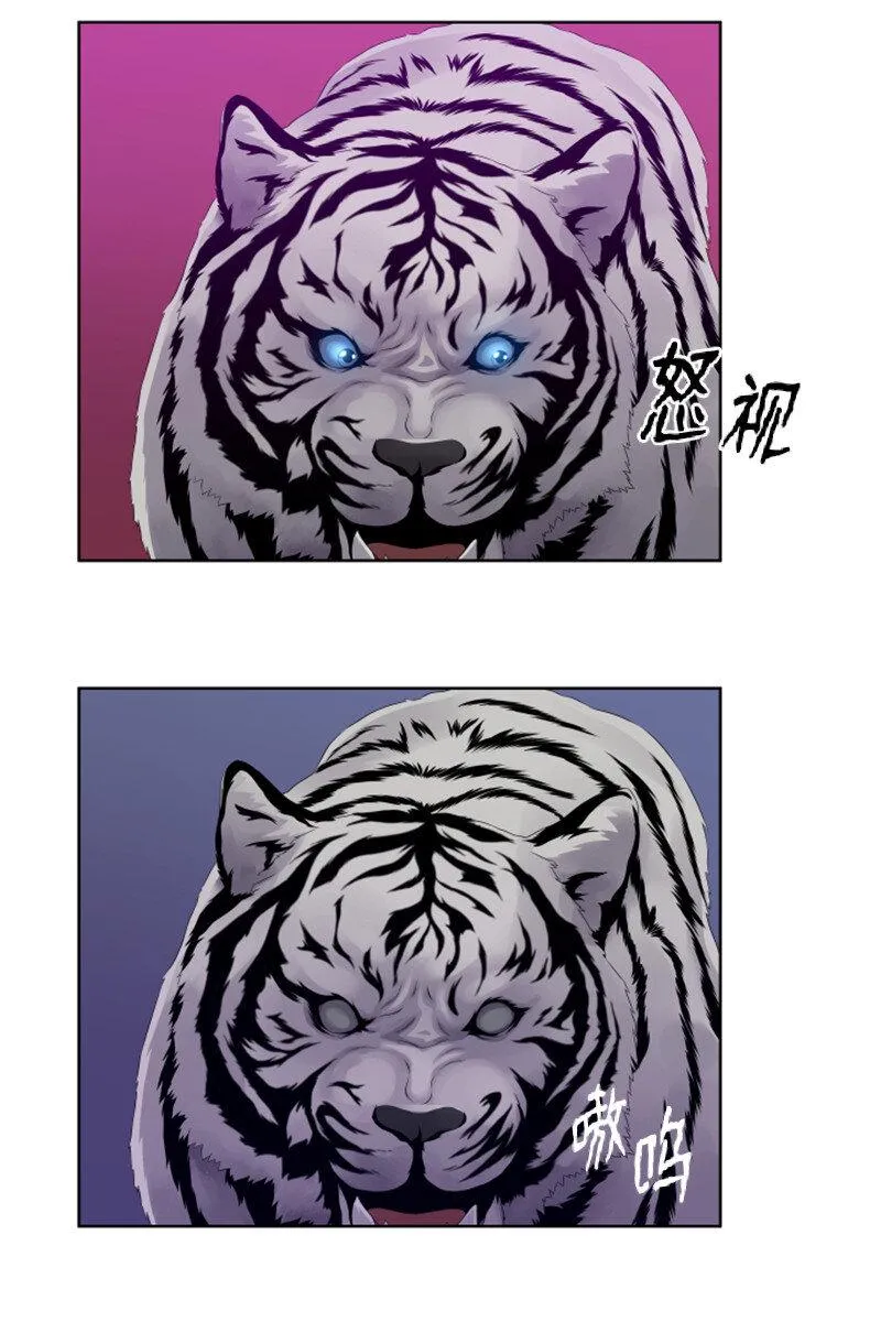 10 猎杀白虎 第49页