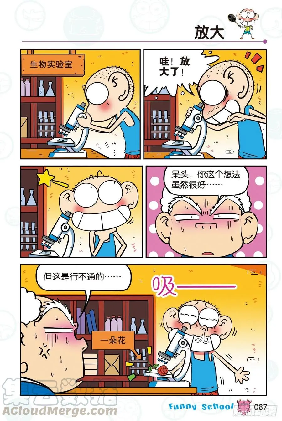 300 第5页
