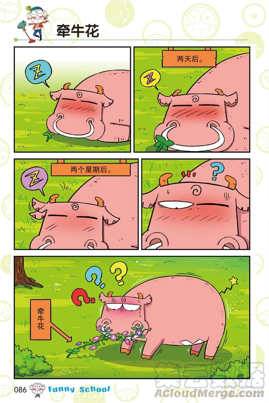第219章 第11页