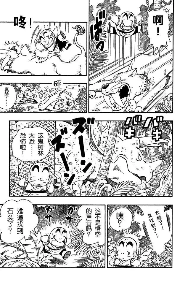 第29话 寻找龟字标记的石头 第11页