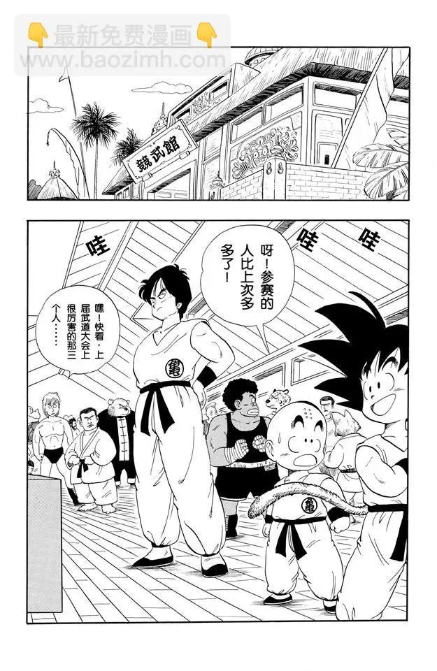 第113话 第二十二届天下第一武道会 第13页