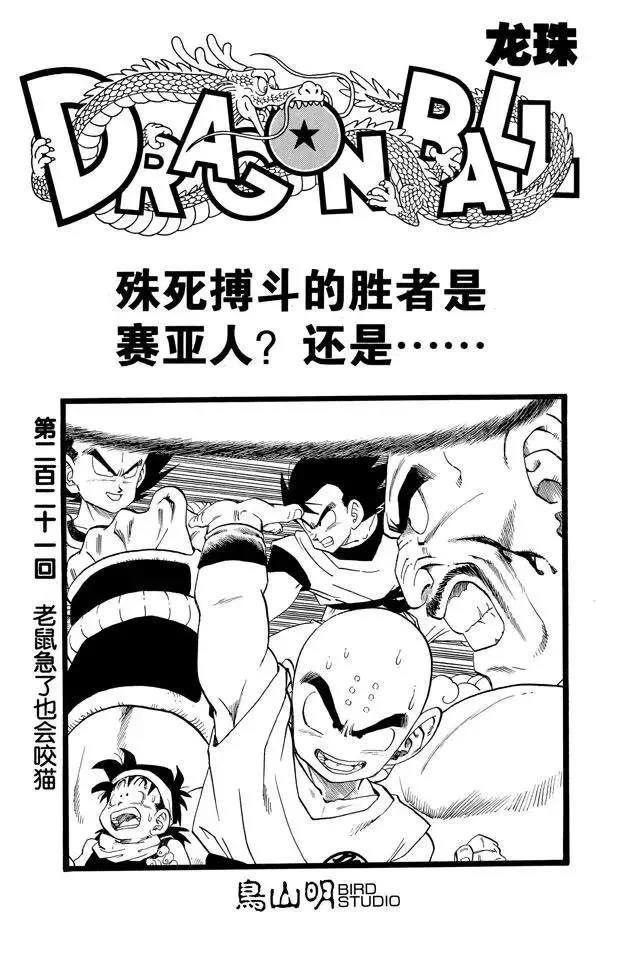 第221话 老鼠急了也会咬猫 第1页