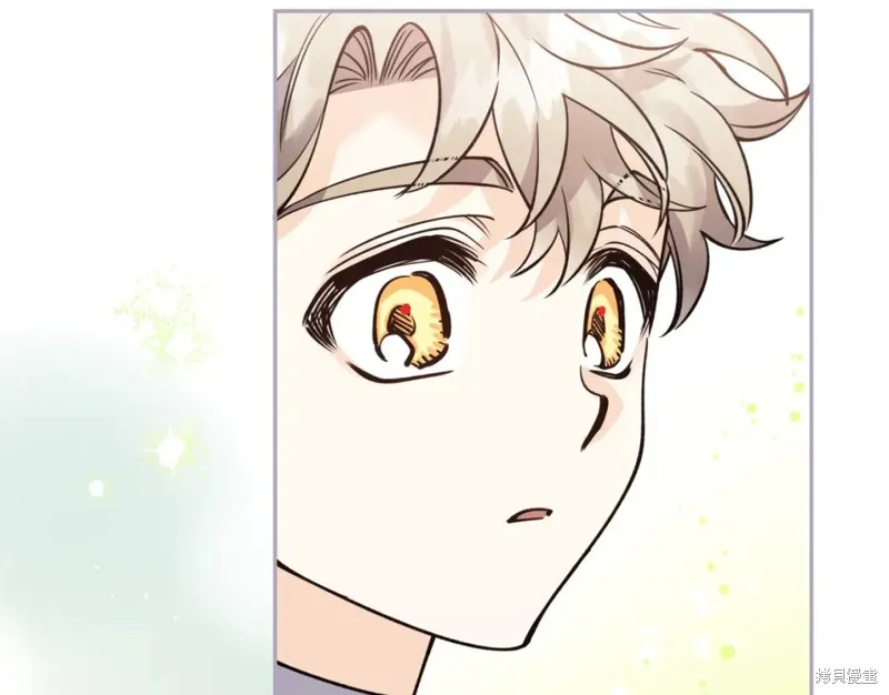 第87话 第41页