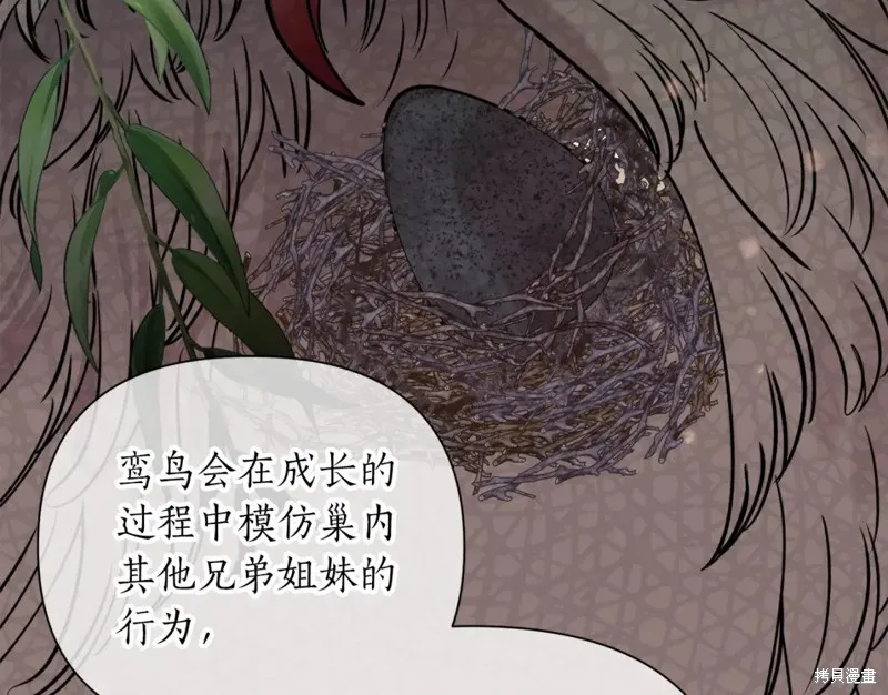 第87话 第49页