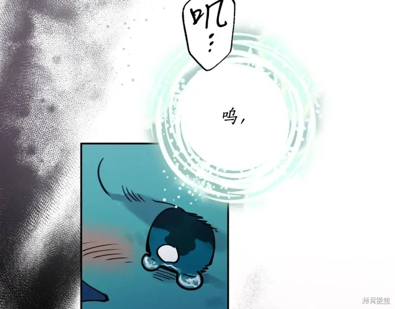 第81话 第41页