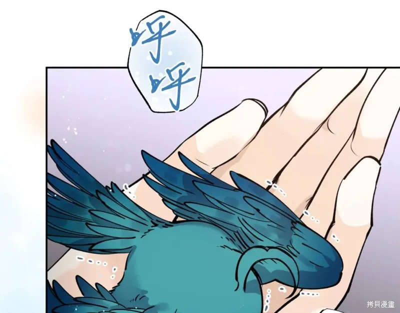 第81话 第70页