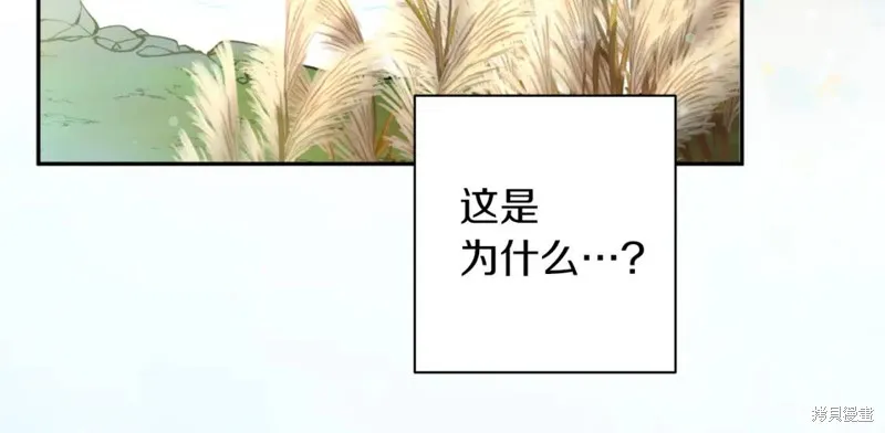 第79话 第79页