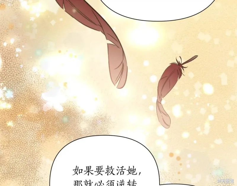 第78话 第34页