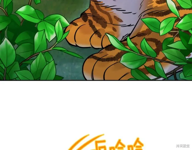 第74话 第49页