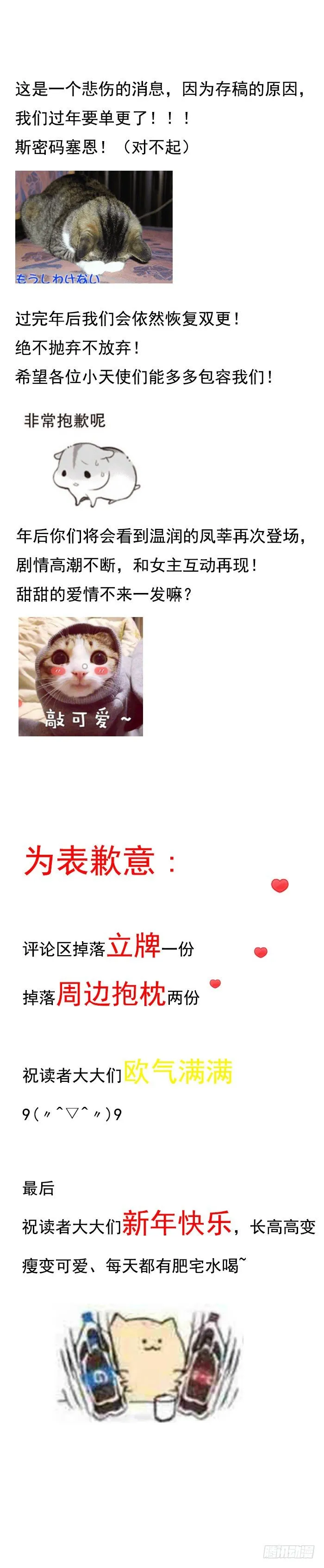 公告 第3页