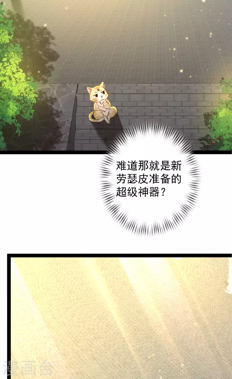 第65话 你这个小机灵喵~ 第6页