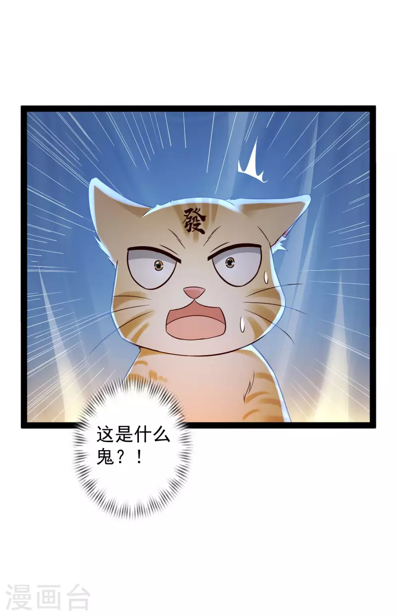 第65话 你这个小机灵喵~ 第10页