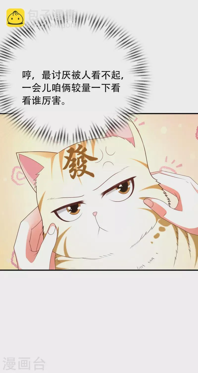 第29话 我擦！我发誓我不是故意的！ 第11页
