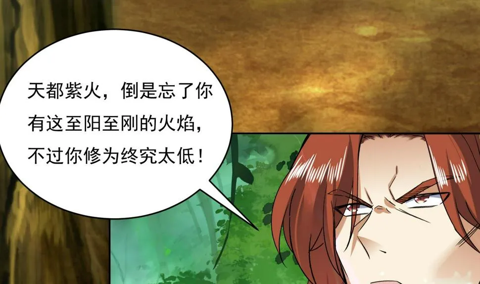 第219话 紫火对蓝火 第25页