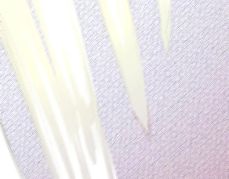 第1话 天才的陨落 第37页