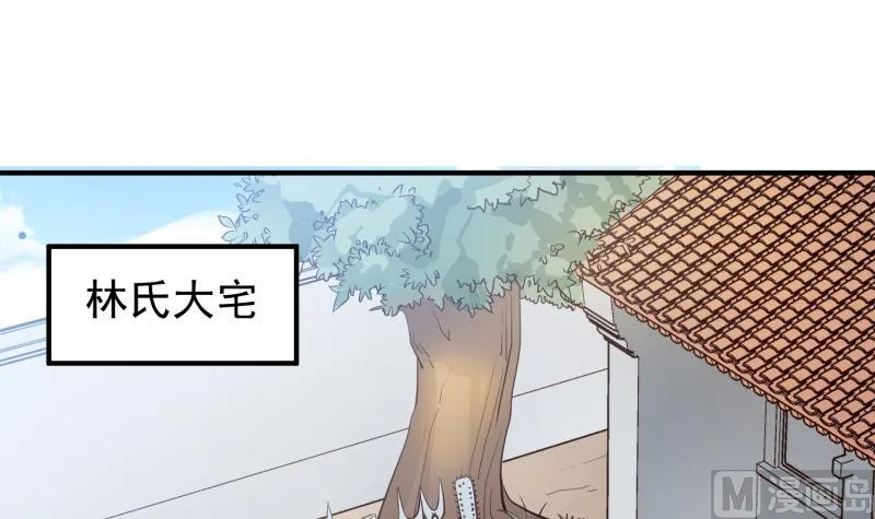 第88话 林家擂台赛 第30页