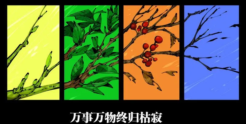 三十八，死枯院 第8页