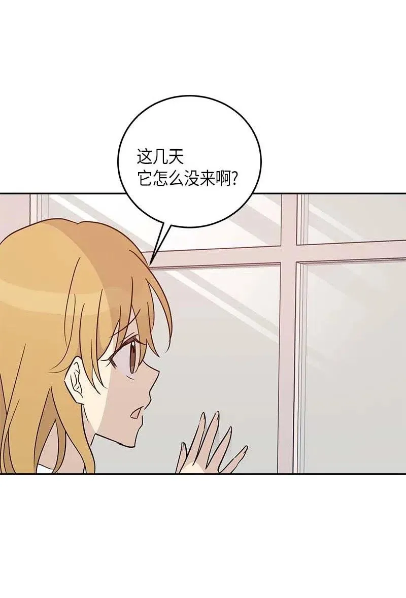 51 镇压全场 第62页