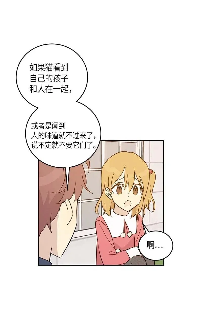 52 添新成员 第6页