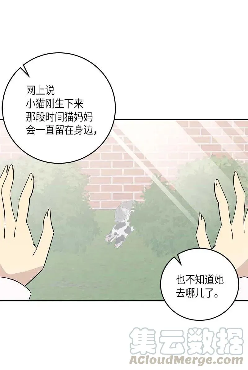 52 添新成员 第16页