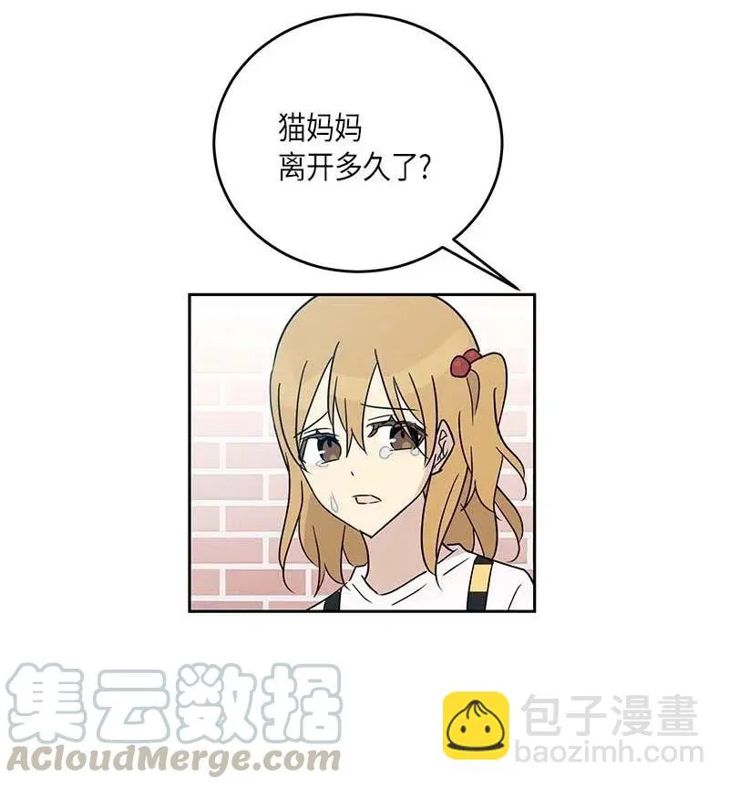 52 添新成员 第43页