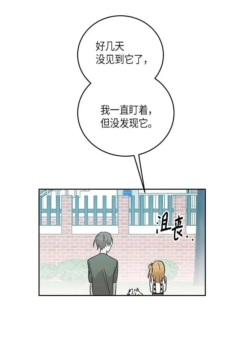 52 添新成员 第44页