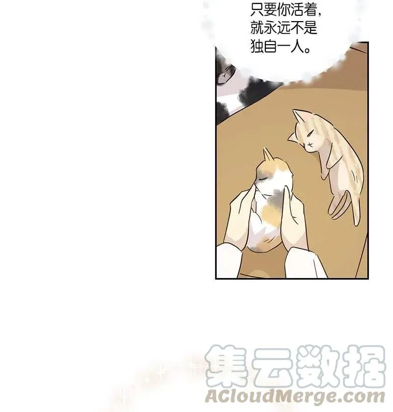 52 添新成员 第52页