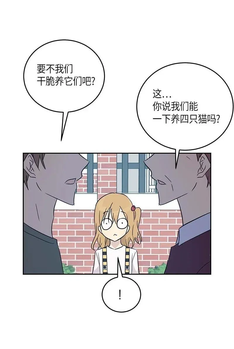 52 添新成员 第57页