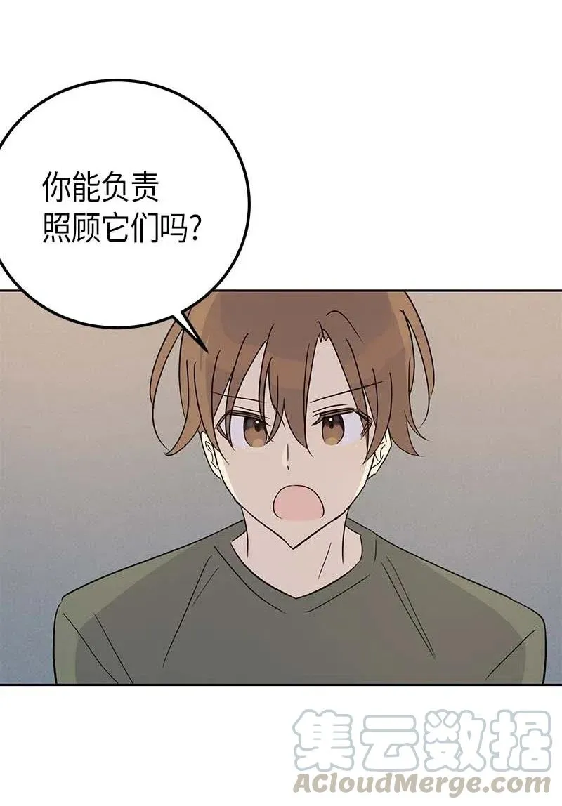 52 添新成员 第61页