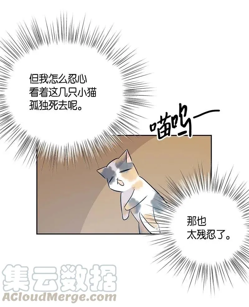 52 添新成员 第64页