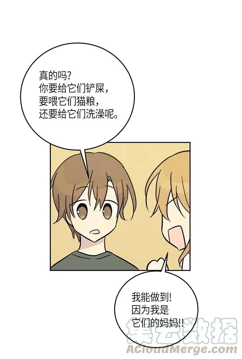 52 添新成员 第67页