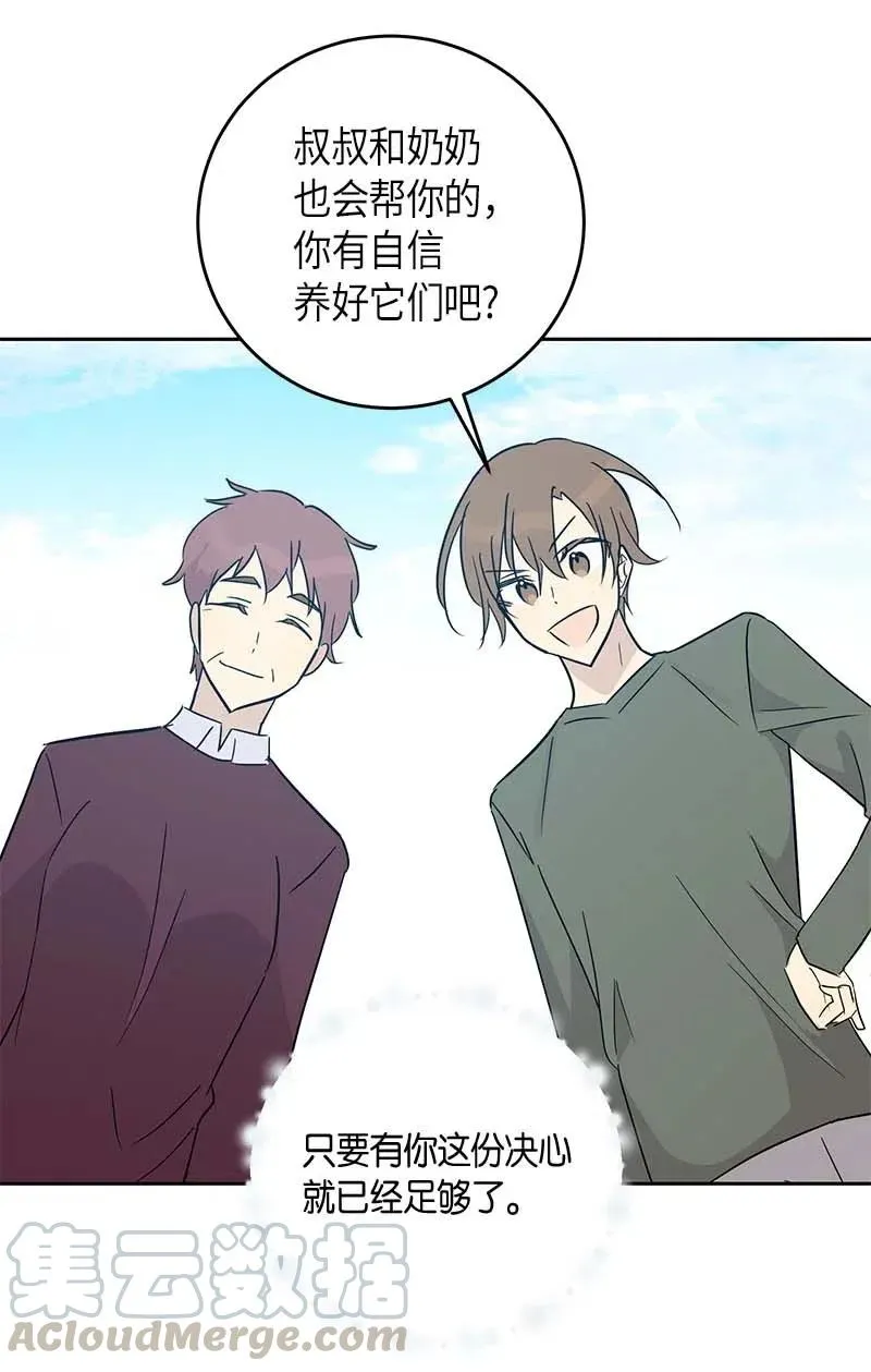 52 添新成员 第70页