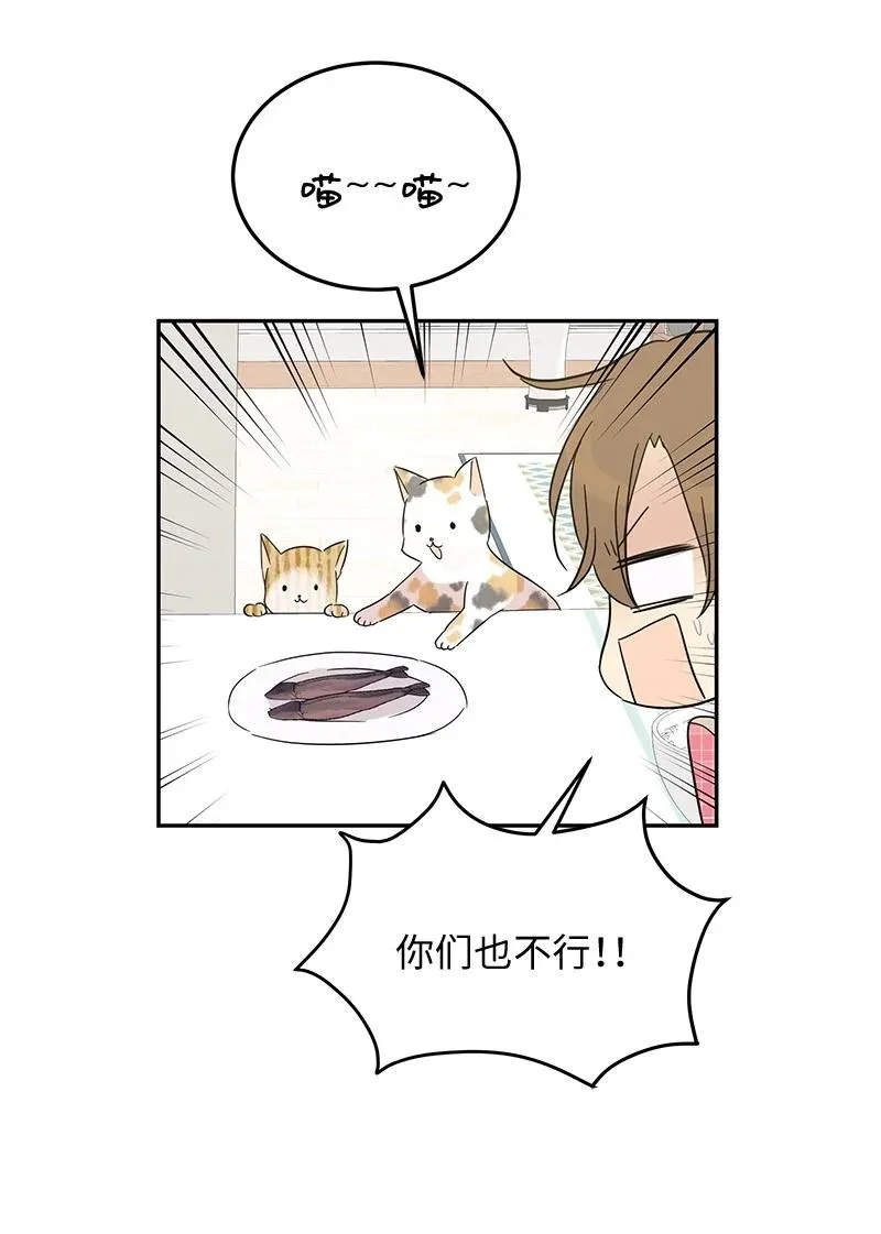 60 解除阴霾 第53页