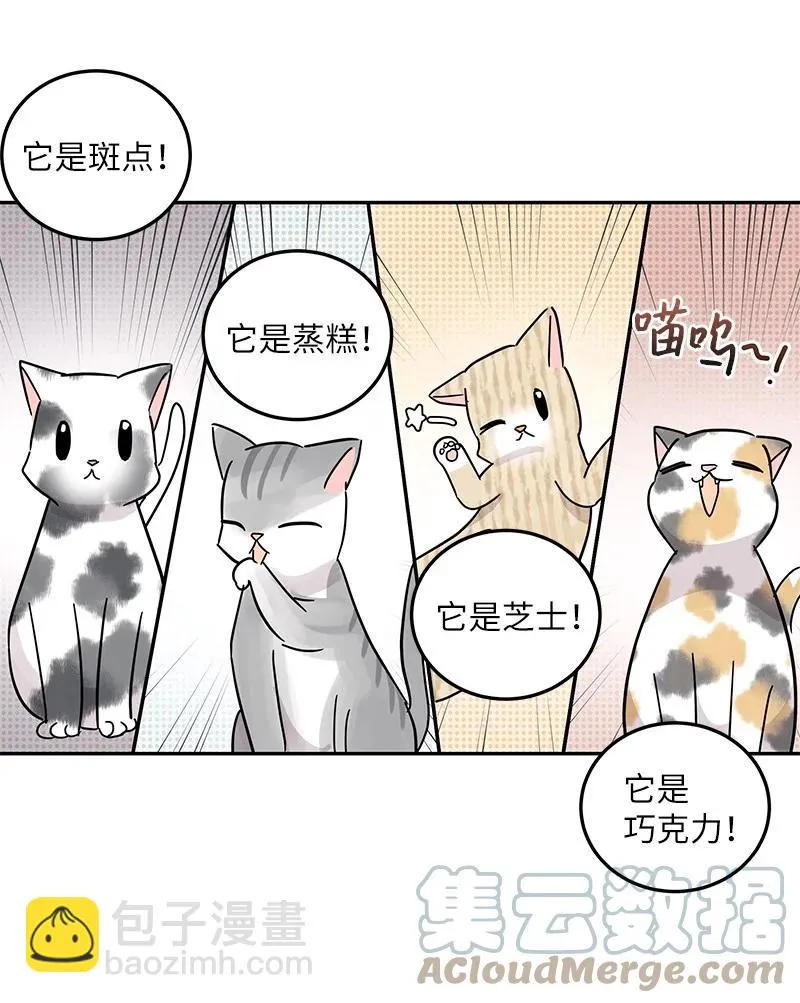 74 开播仪式聚餐 第58页