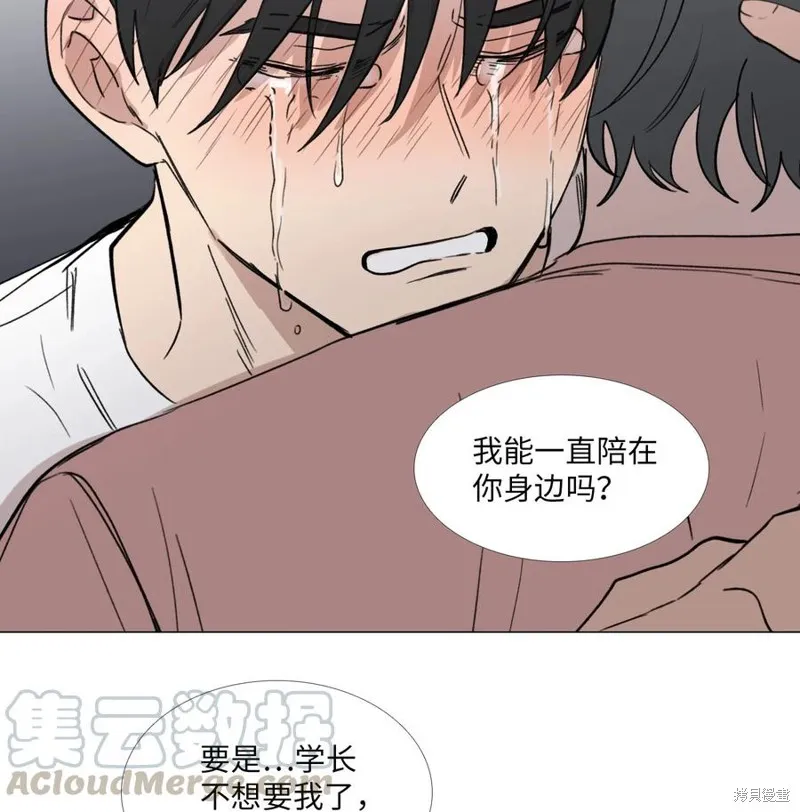 第51话 第43页