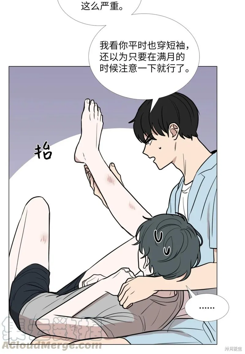 第43话 第49页