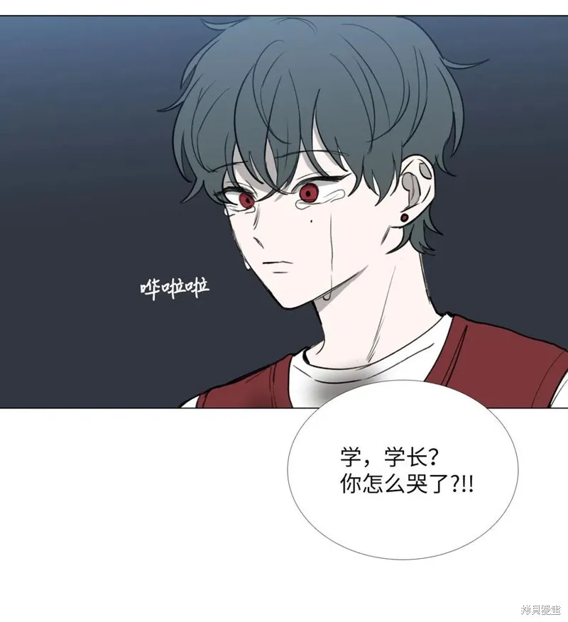 第39话 第41页