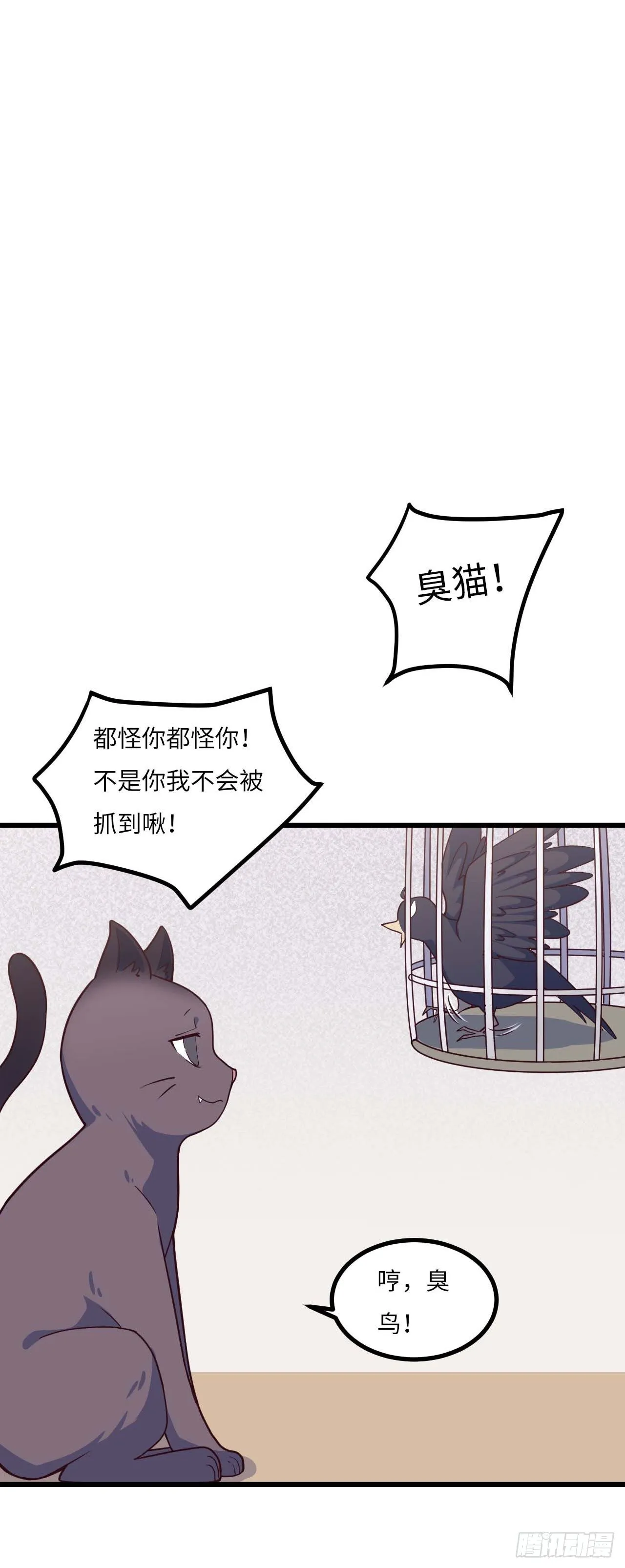 【特别篇】是乌鸫不是乌鸦2 第11页