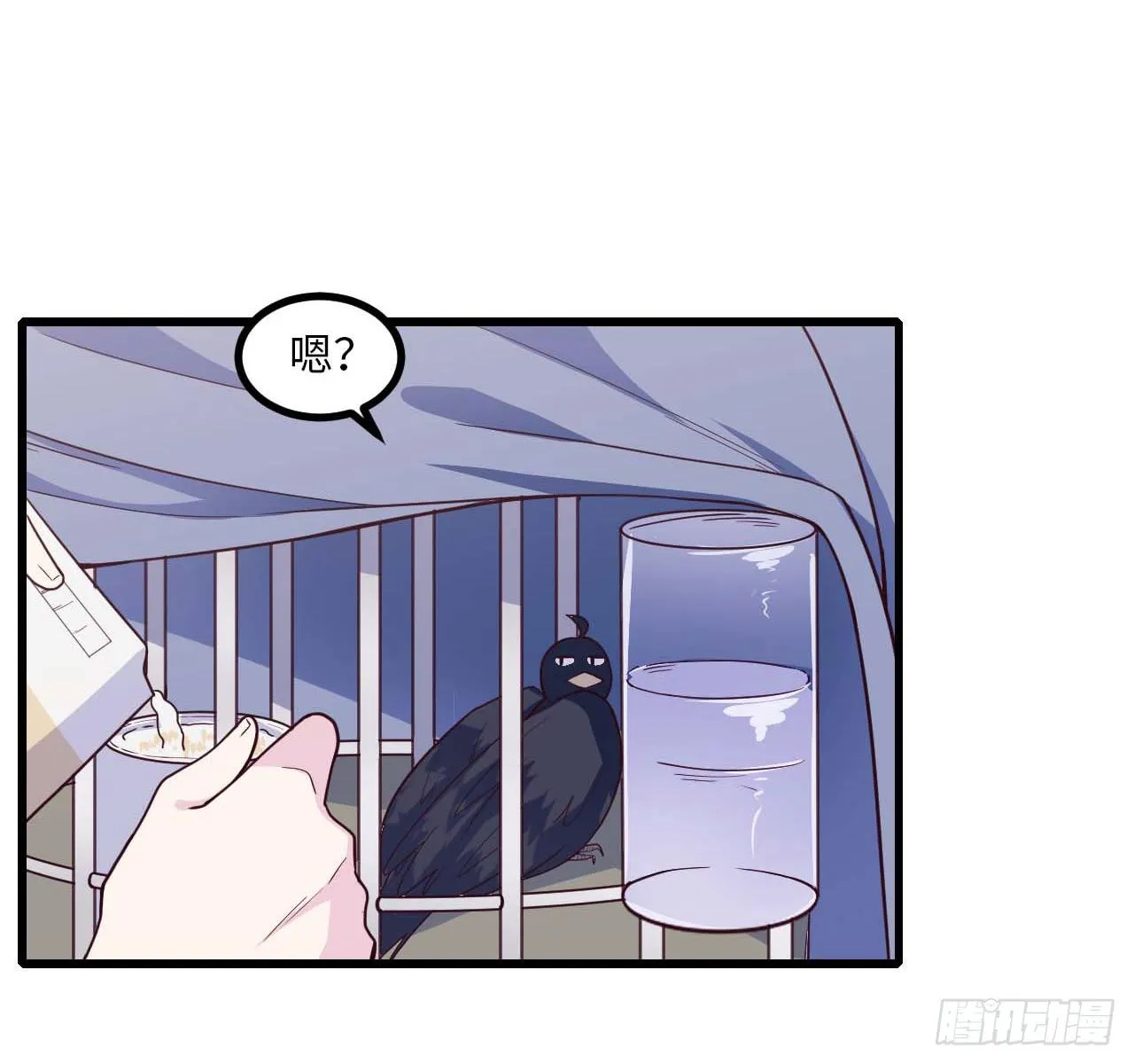 【特别篇】是乌鸫不是乌鸦2 第15页