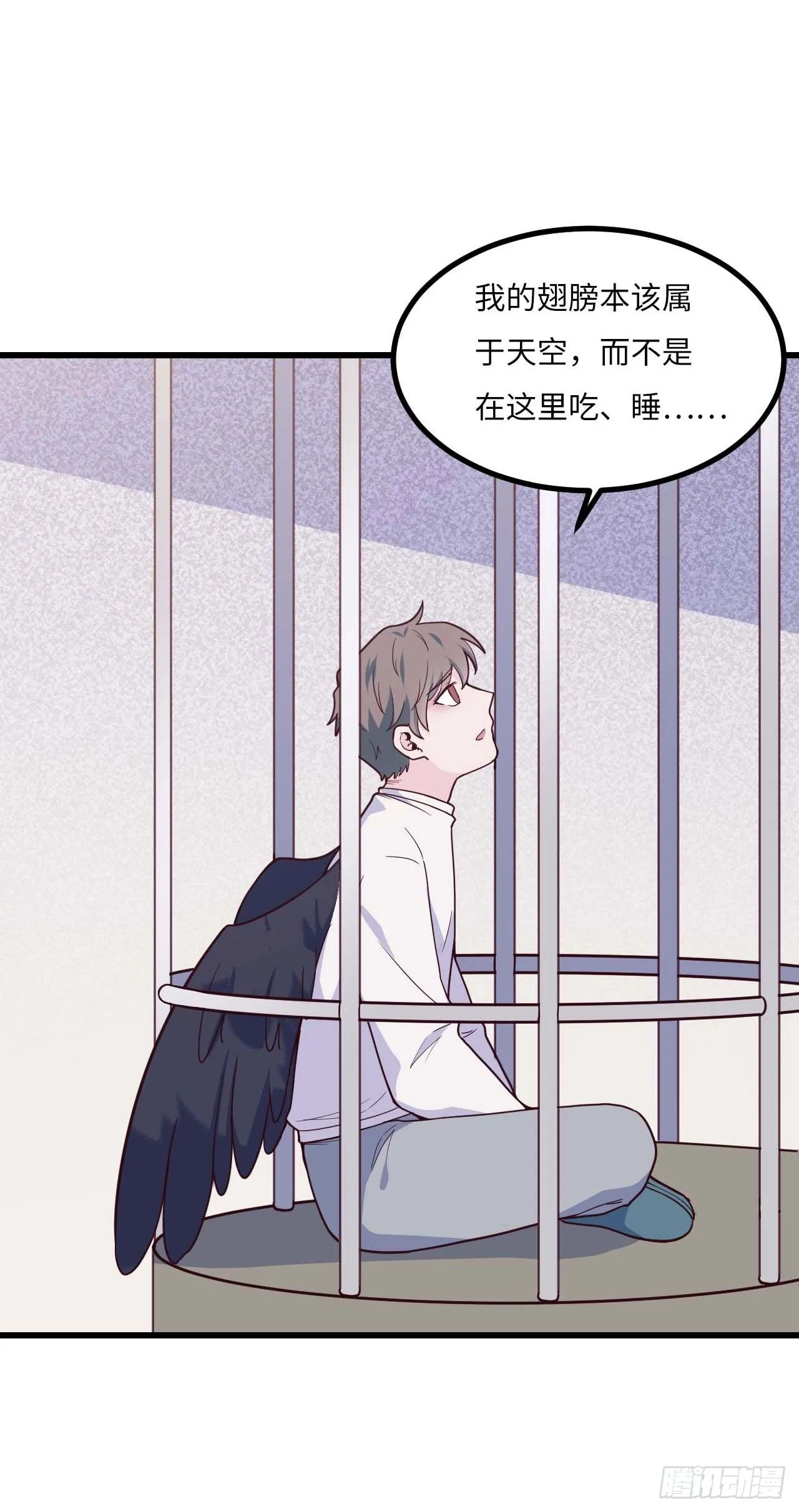 【特别篇】是乌鸫不是乌鸦2 第20页