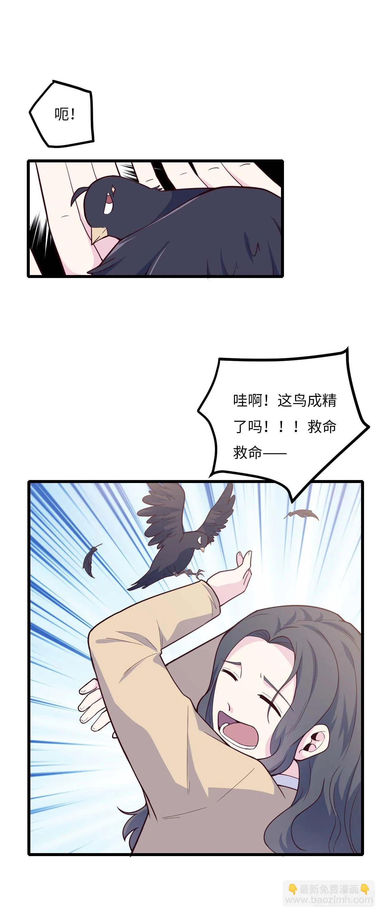 【特别篇】是乌鸫不是乌鸦2 第40页