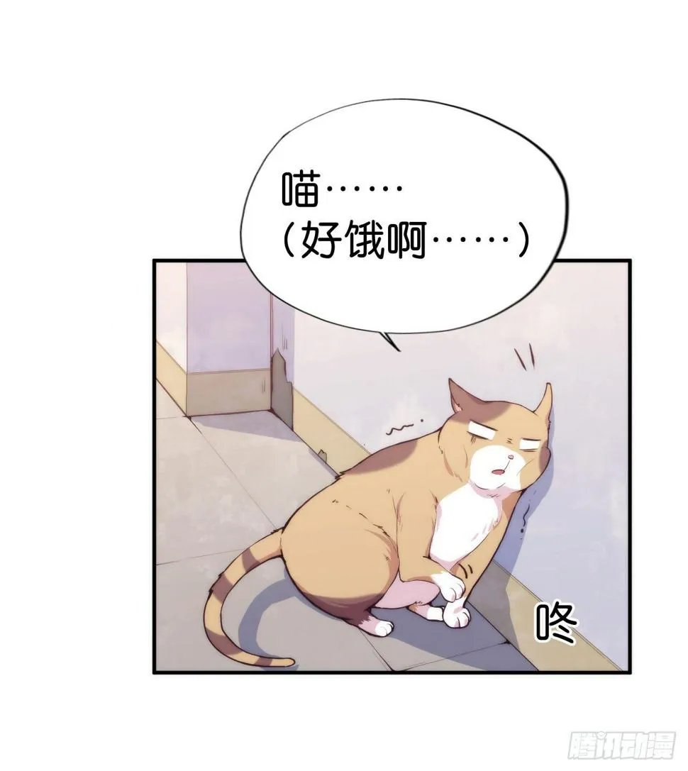 【第5话】猫的报恩 第3页