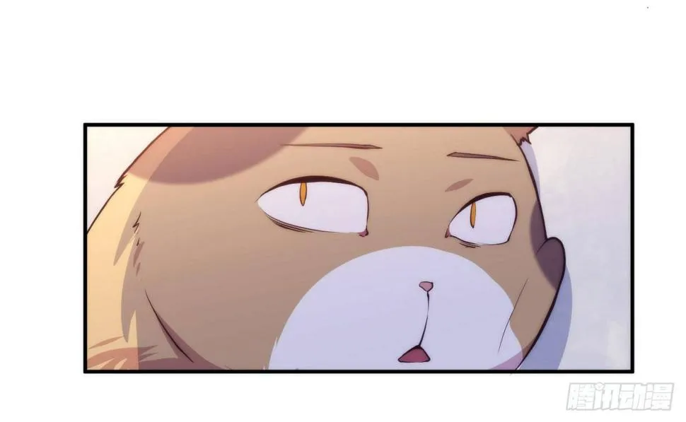 【第5话】猫的报恩 第4页