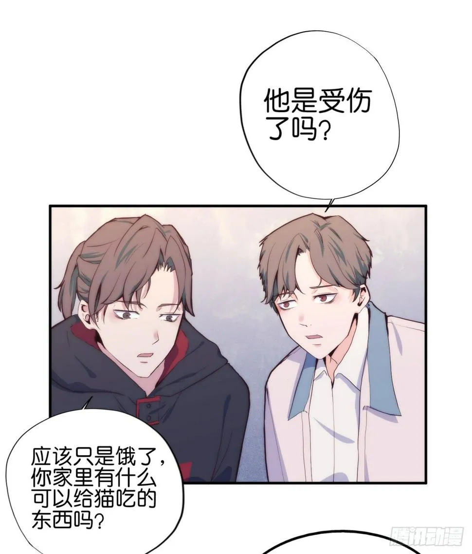 【第5话】猫的报恩 第8页