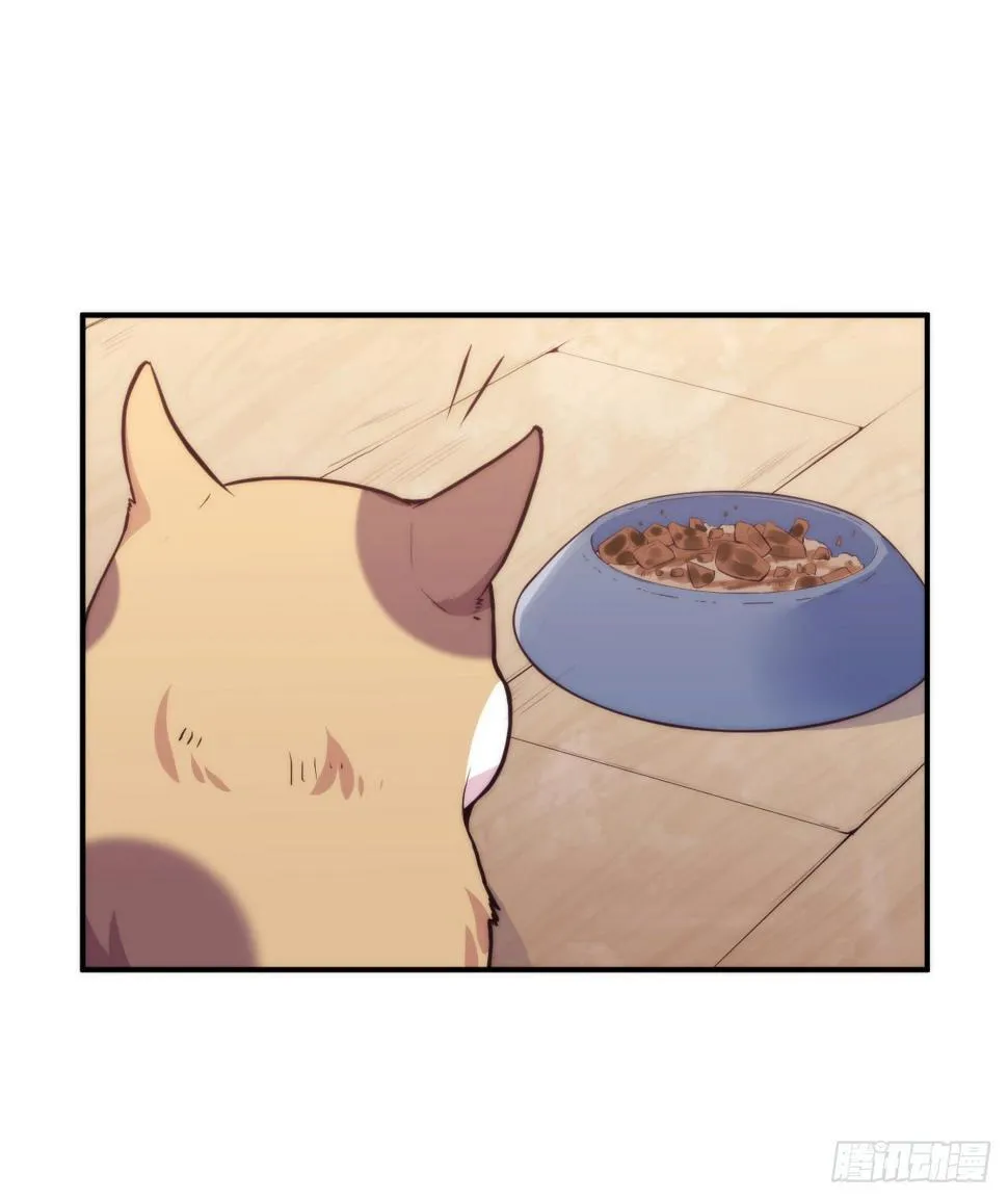 【第5话】猫的报恩 第13页