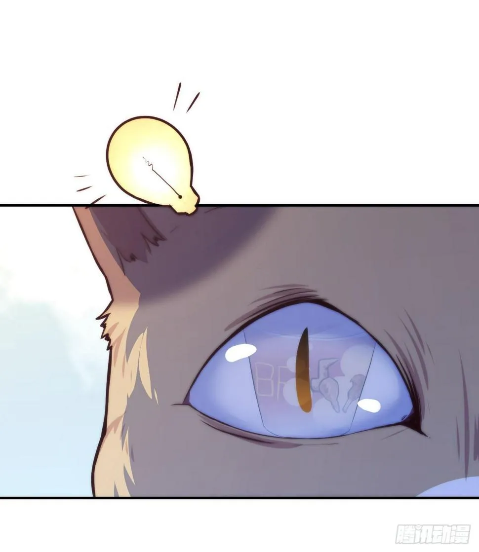 【第5话】猫的报恩 第25页