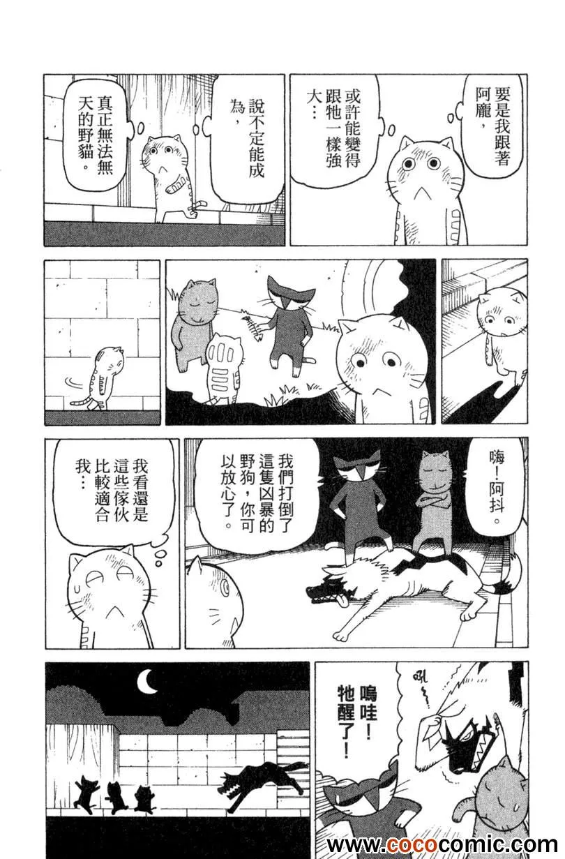 第2卷 第81页