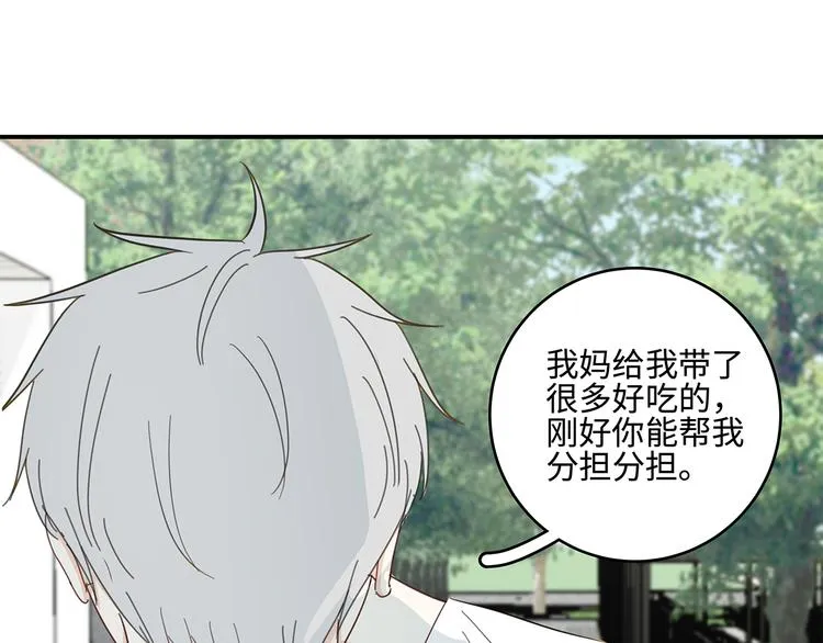 24 投喂 第13页