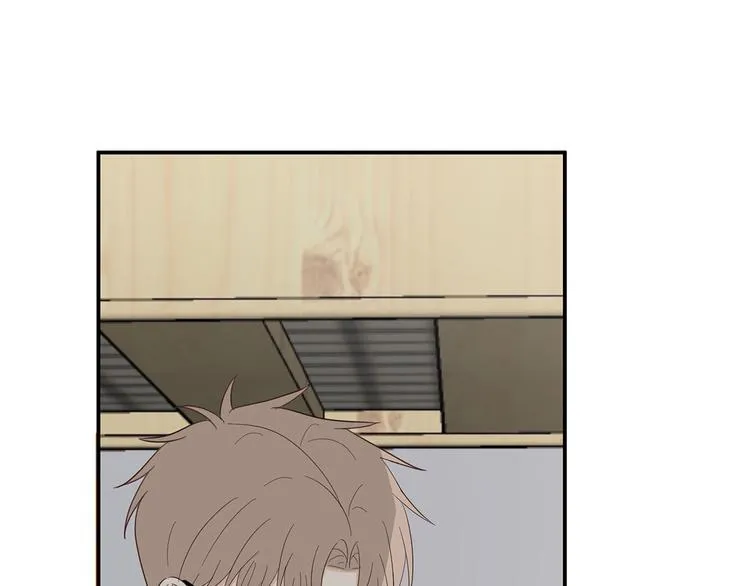 24 投喂 第42页