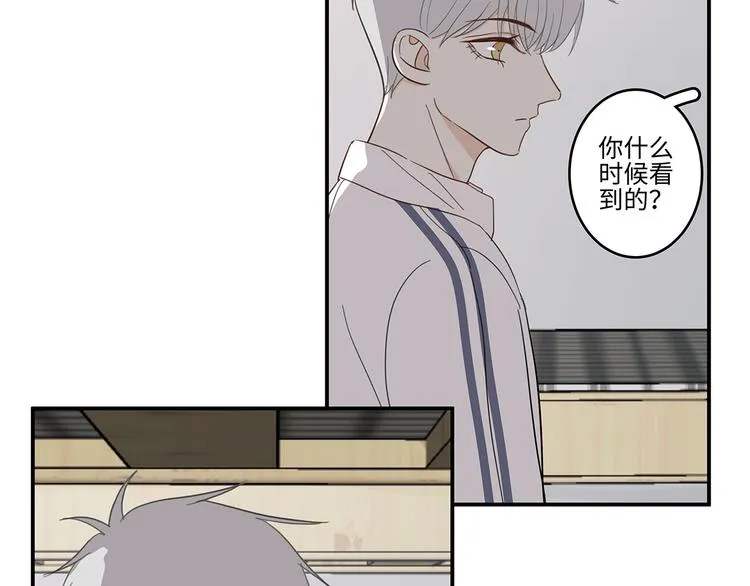 24 投喂 第62页